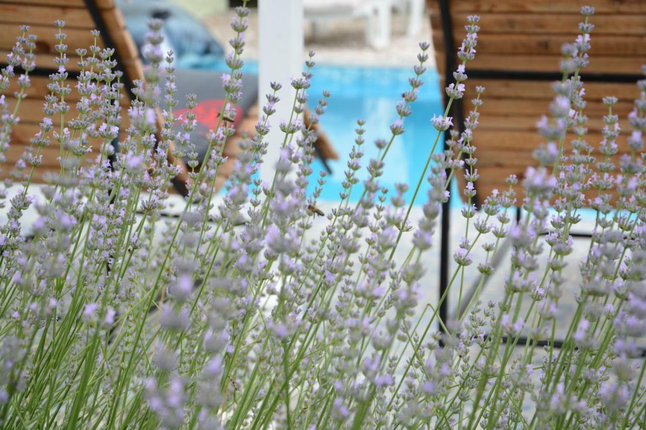 Villa Iva Kraj  Buitenkant foto